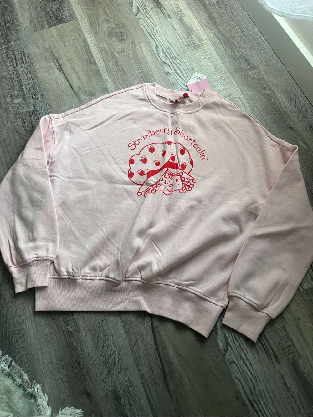 Strawberry Shortcake Pink Graphic Crewneck Sweatshirt